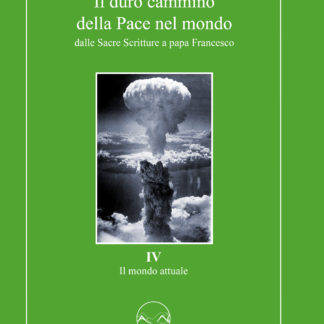 il duro cammino della pace nel mondo IV